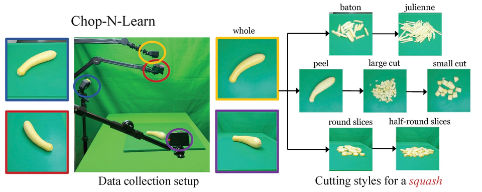 Chop and Learn object-state recognition and generation examples